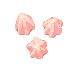 メレンゲクッキー ストロベリー